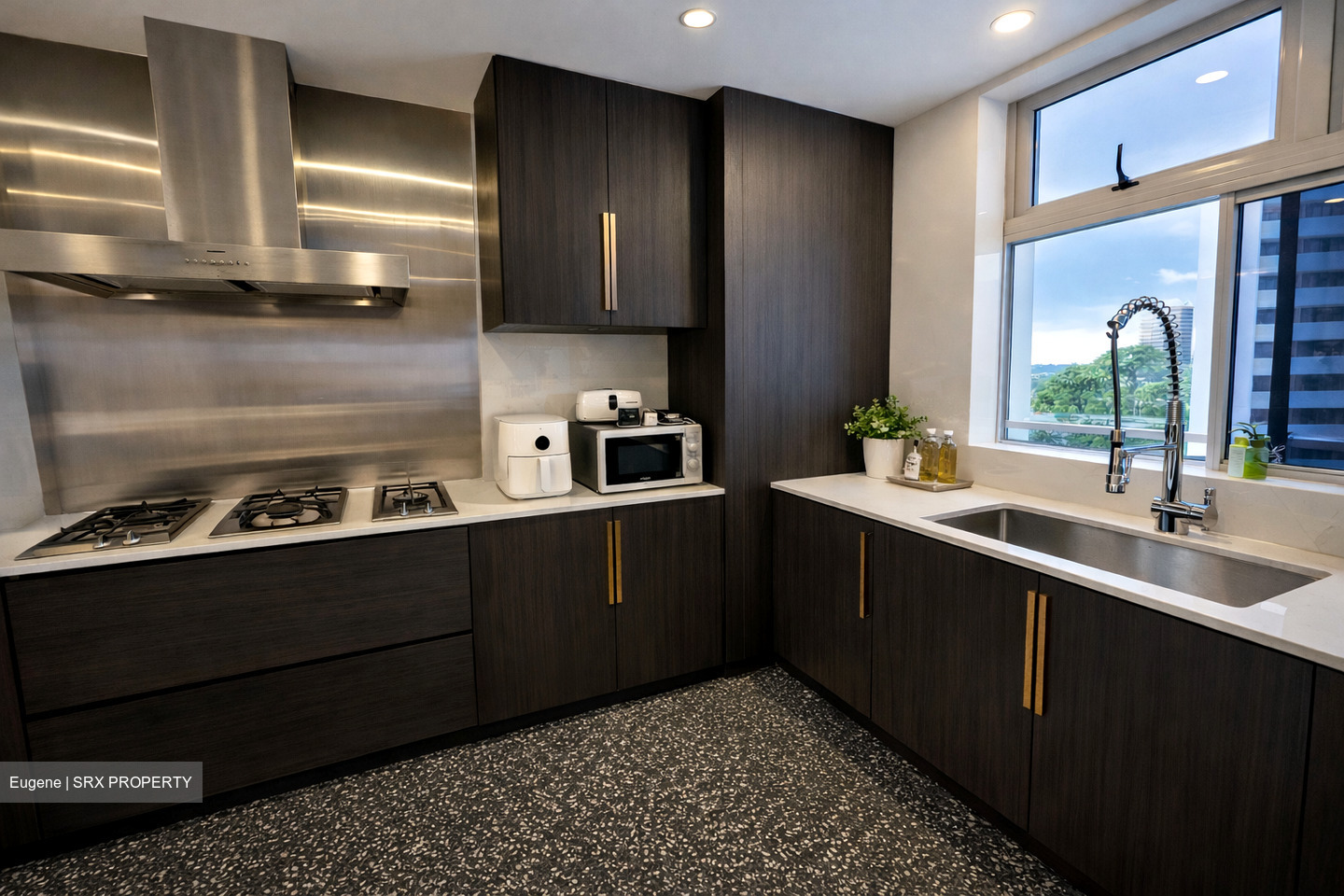 8 Raja (D12), Apartment #573583061